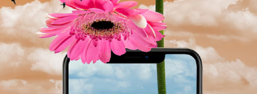 TikTok Uygulaması Fotoğrafları Canlandırıyor